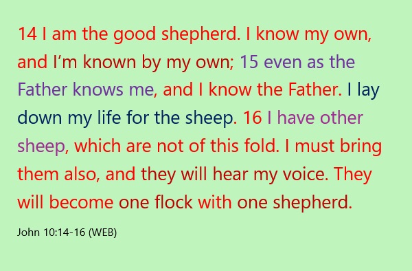 Jesus, the Great Shepherd, leads only one flock. And he is our only ...
